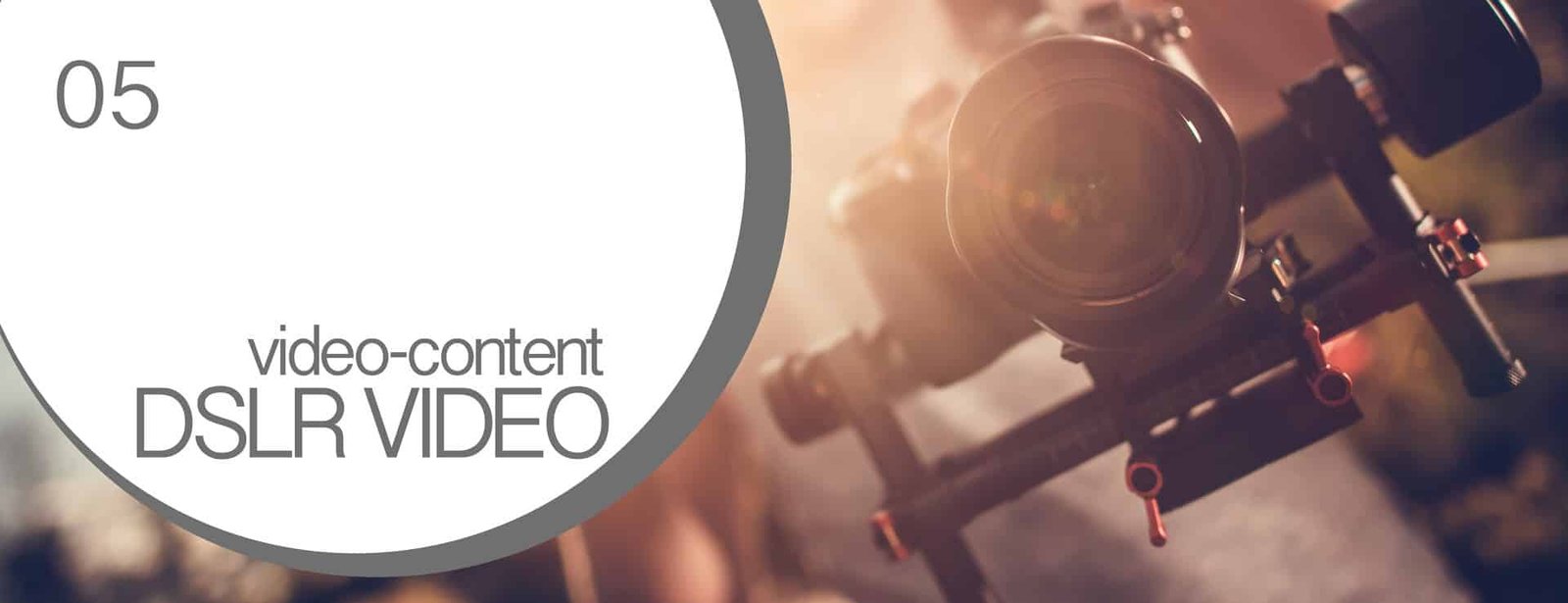 Ferminius Content manager