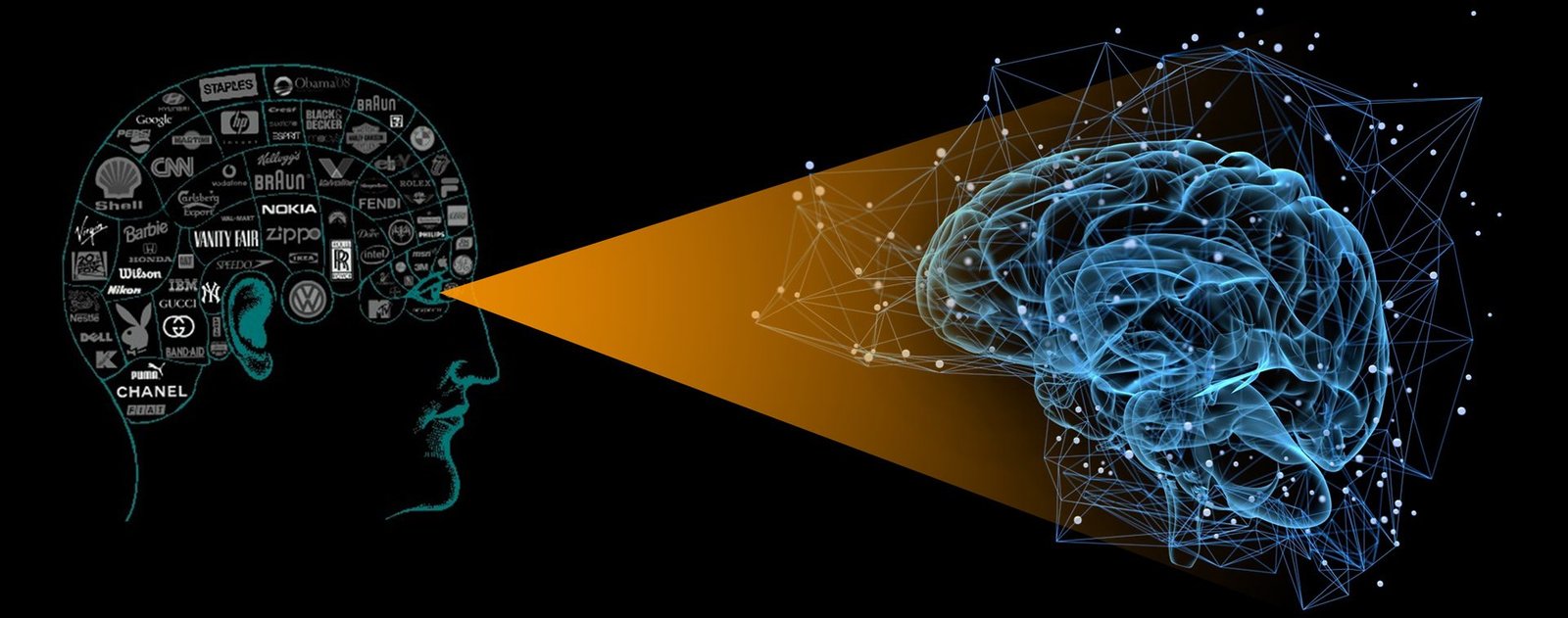 data science bootcamp