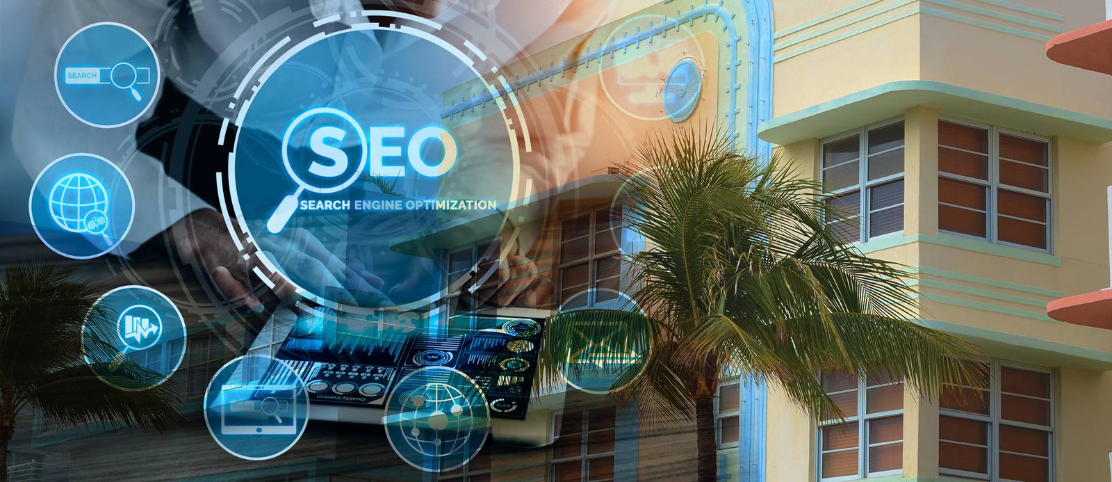 Seo Expert Miami