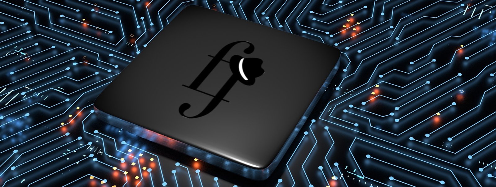 seo experts miami ferminius